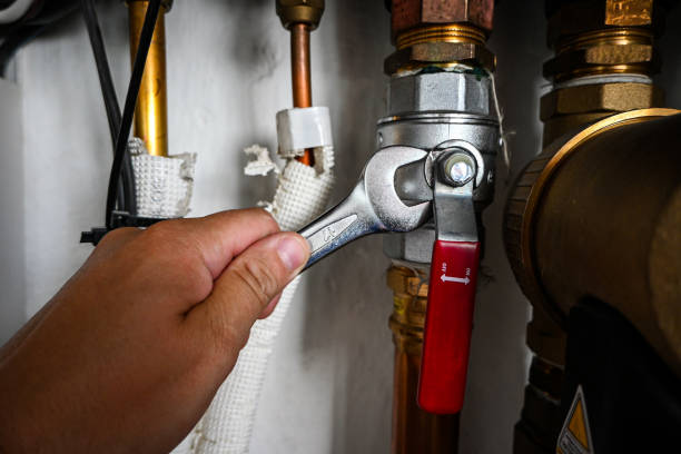 Best Plumbing Inspection Services  in Goleta, CA